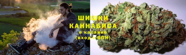 мяу мяу мука Беломорск
