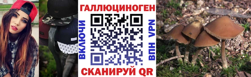 Псилоцибиновые грибы прущие грибы  Воскресенск 